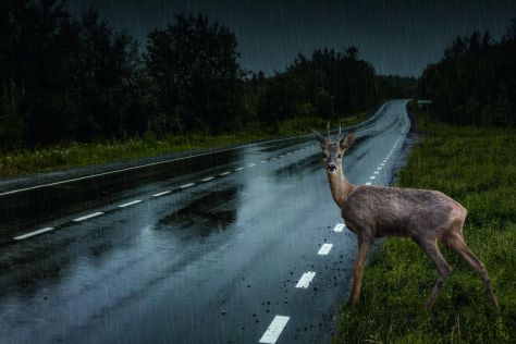 Schlechte Sicht bei Nacht - und Dämmerung