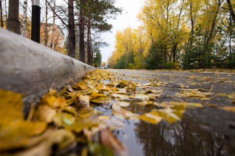 Schlechte Sicht bei Herbst - Nacht - und Dämmerung